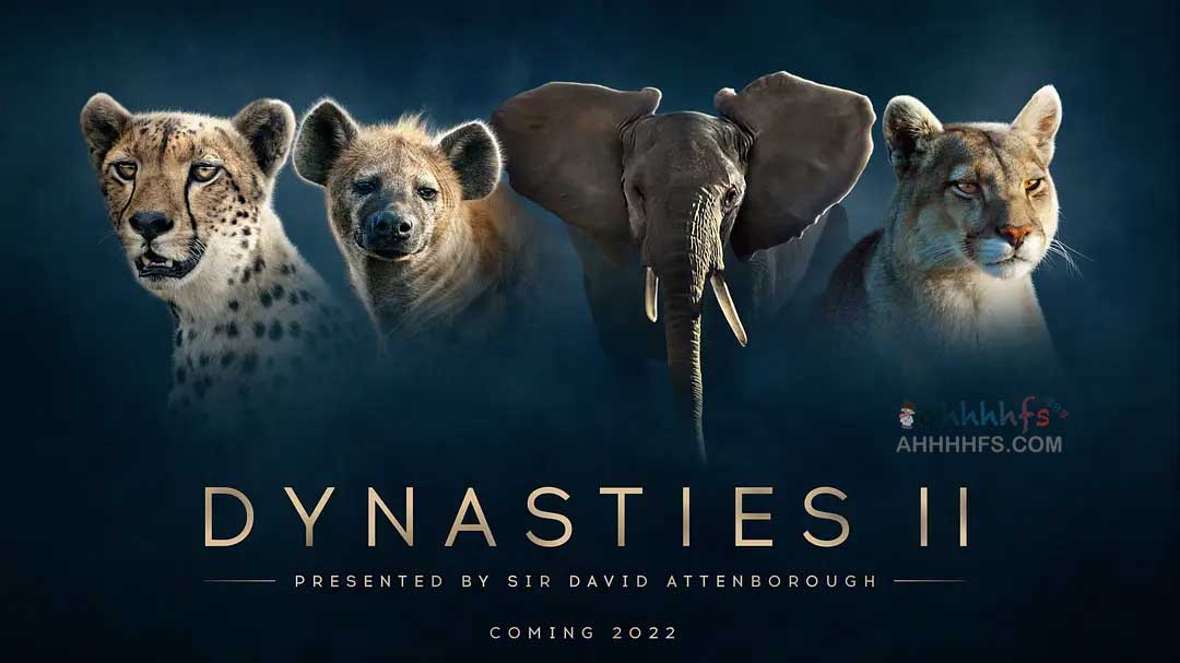 王朝 第二季 Dynasties Season 2 (2022)中字 4k 2160p