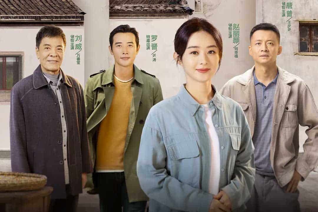 幸福到万家 (2022) 国语中字 1080p