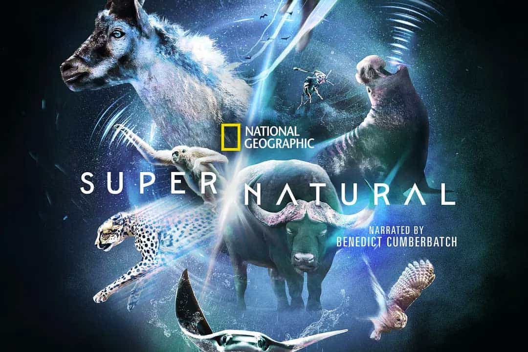 超/自然 Super/Natural (2022)...