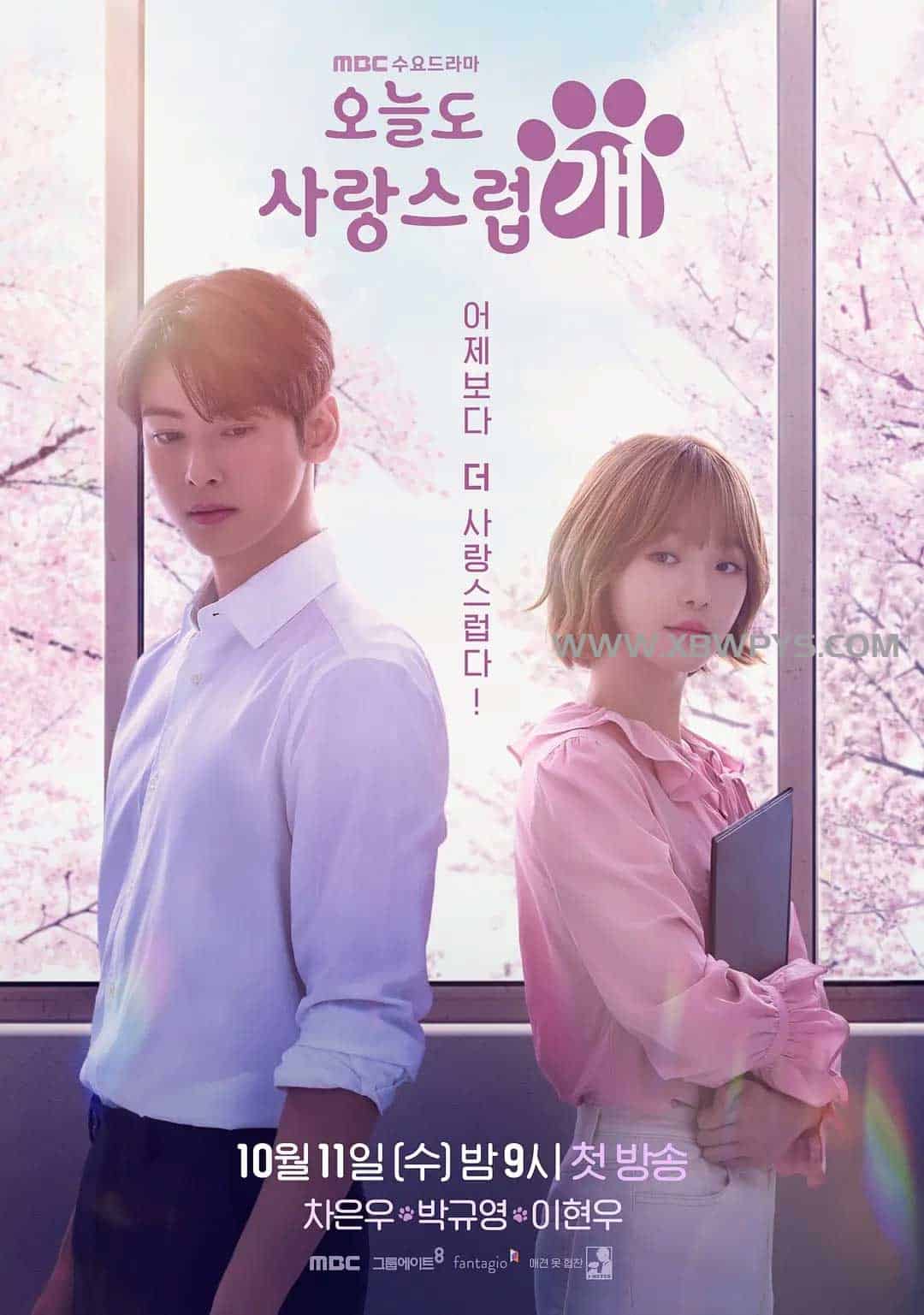 今天也很可爱的狗 오늘도 사랑스럽개 (2023)中文字幕1080p