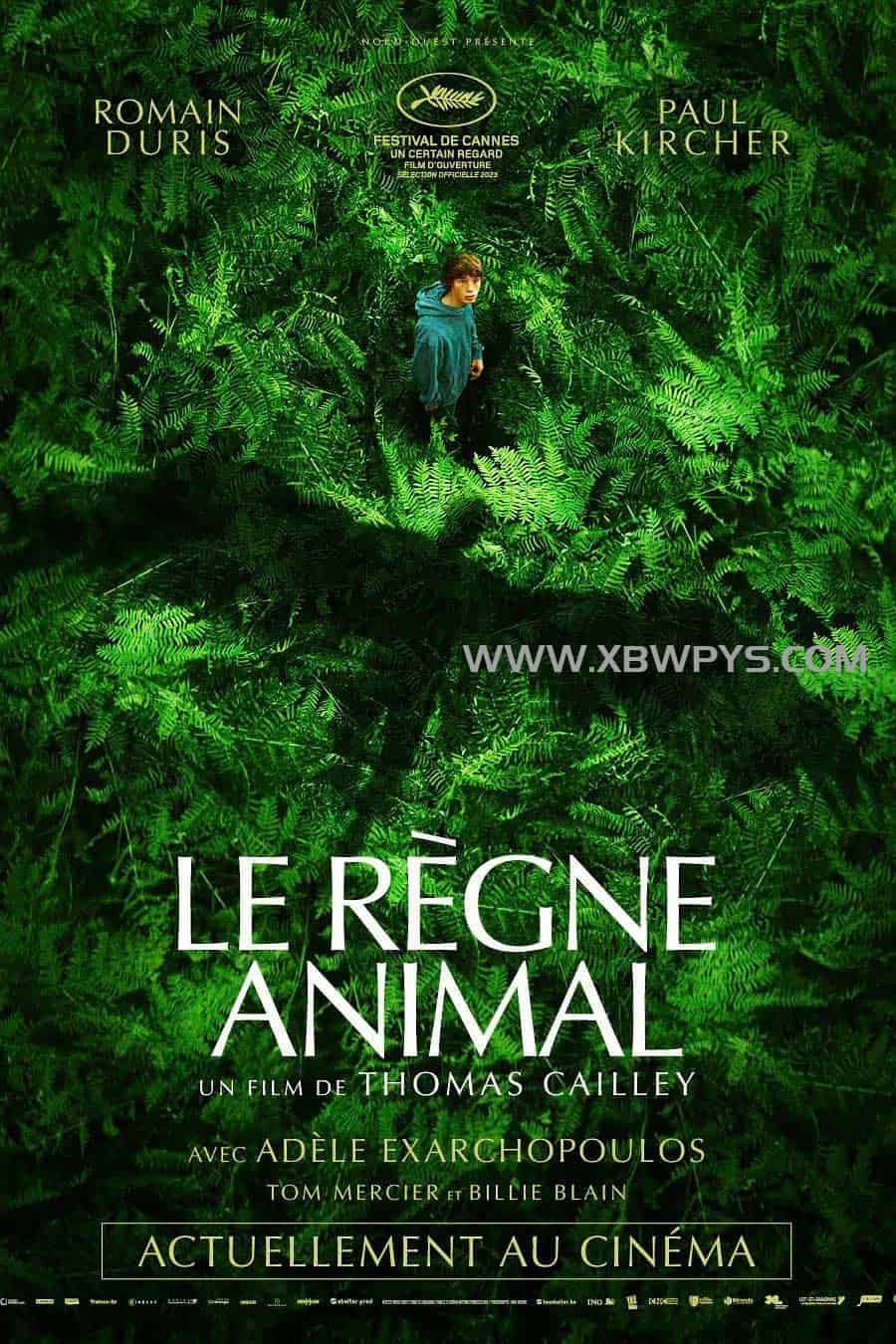 动物王国 Le rgne animal (202...