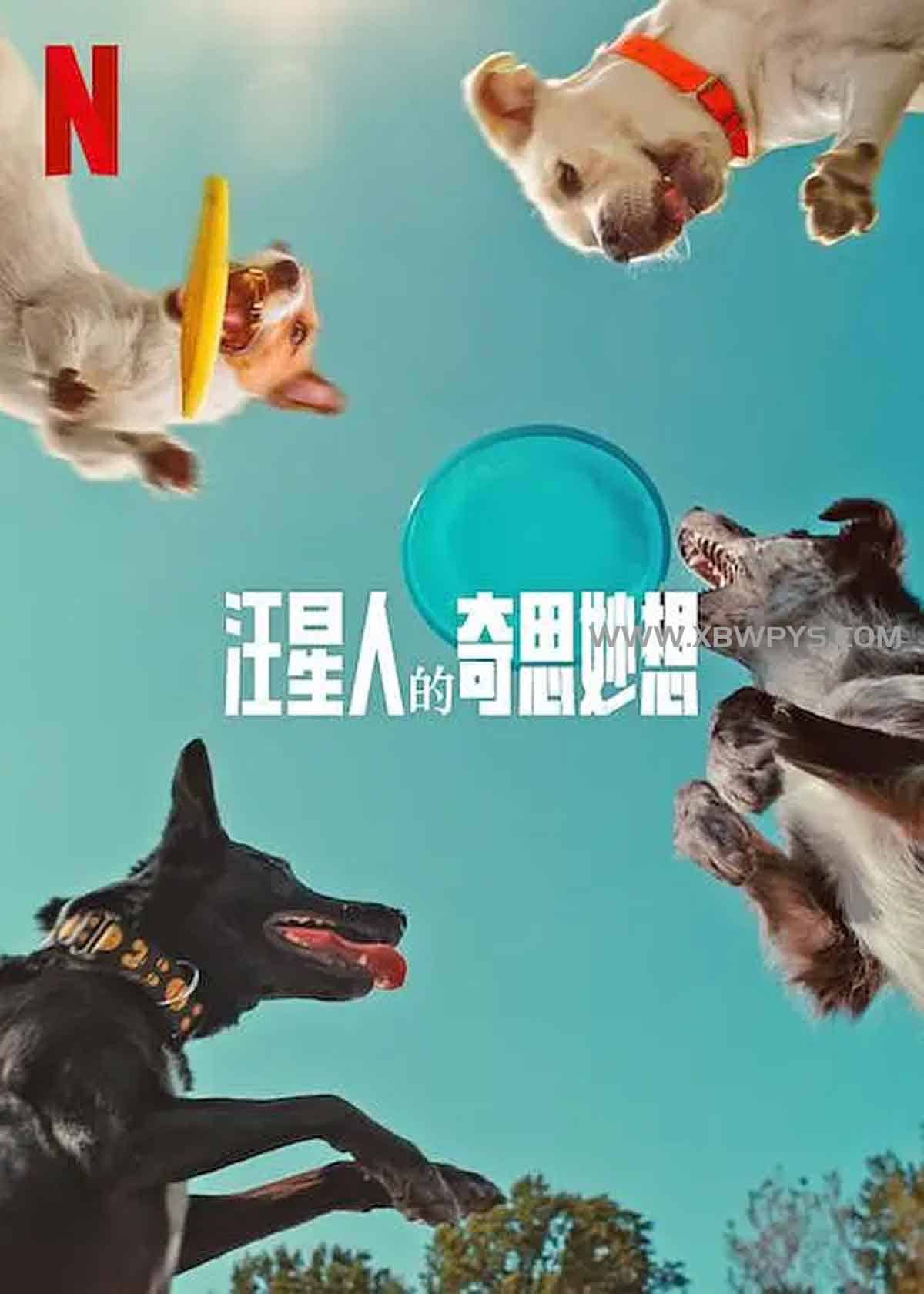 汪星人的奇思妙想 Inside the Mind of a Dog (2024)中文字幕1080p