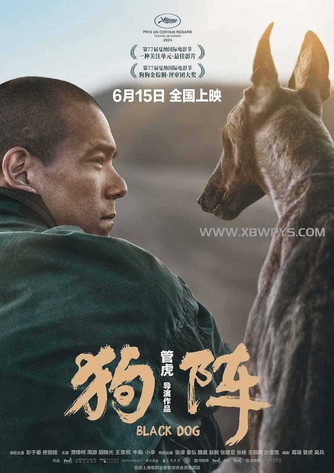 狗阵 (2024)国语中字1080p