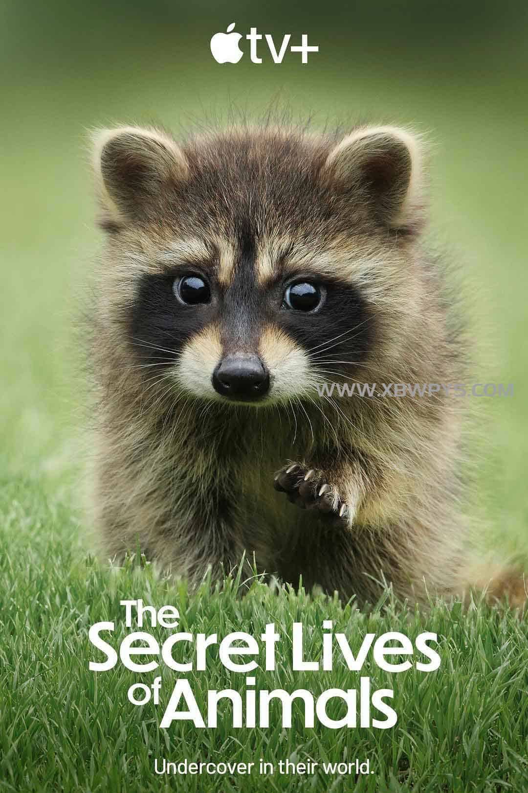 动物的秘密生活 The Secret Lives of Animals (2024)