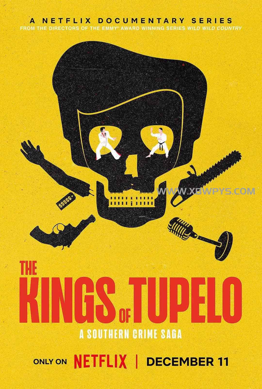 图珀洛之王：南部犯罪传奇 The Kings of Tupelo: A Southern Crime Saga (2024)