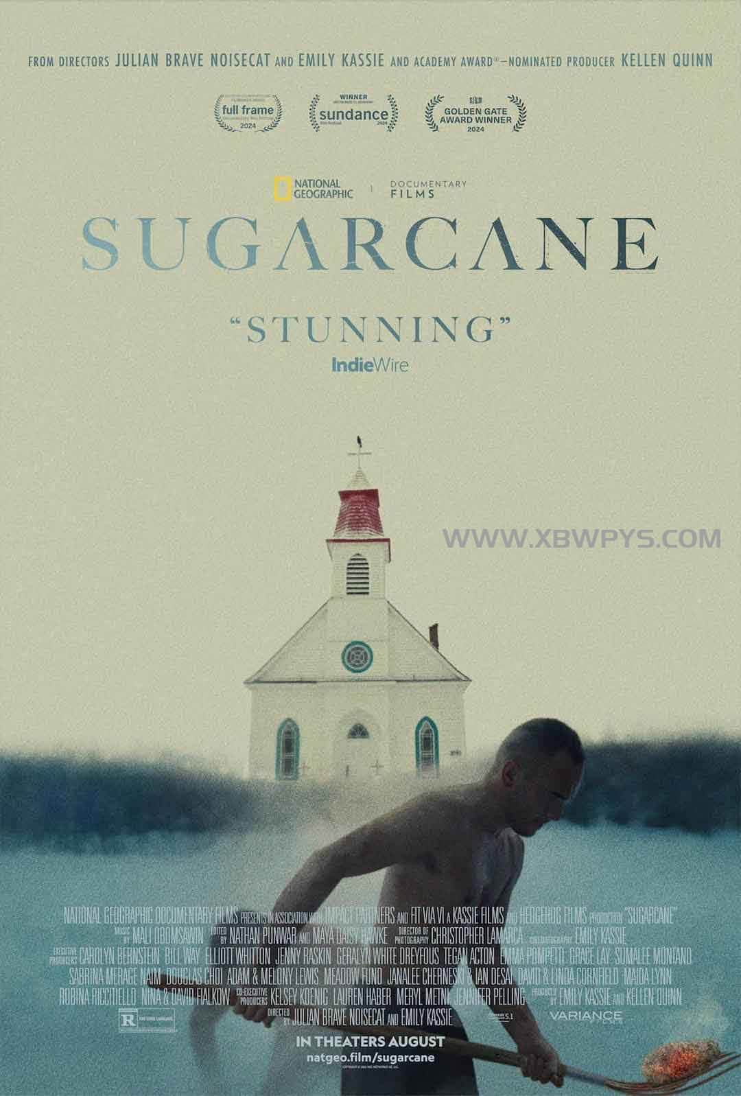 甘蔗 Sugarcane (2024)